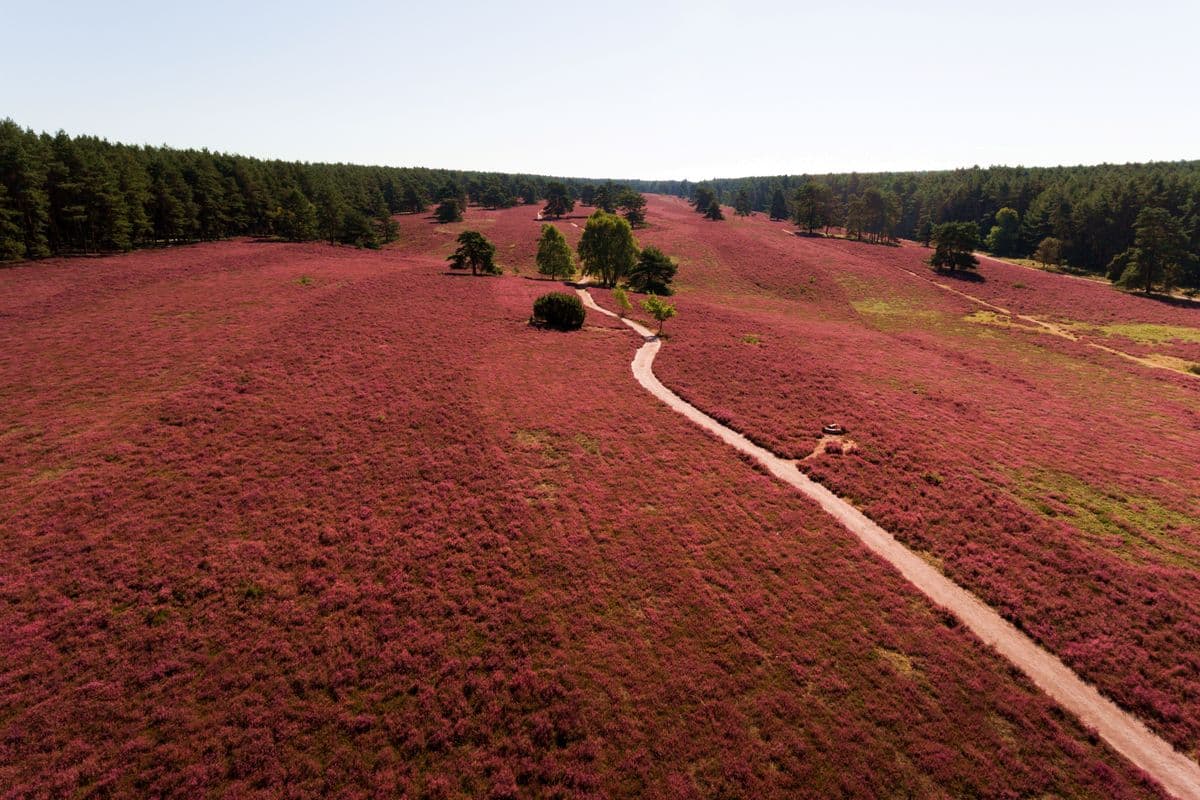 Luftaufnahme der Misselhorner Heide, Hermannsburg, Naturpark Südheide