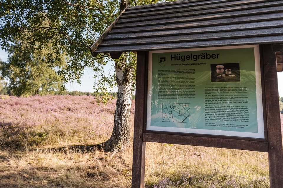 Infotafel Wietzer Berg auf dem Heidschnuckenweg