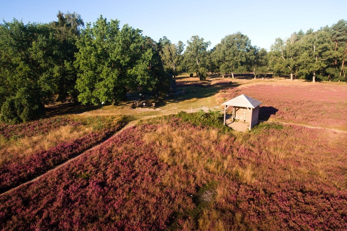 Der wietzer berg von oben