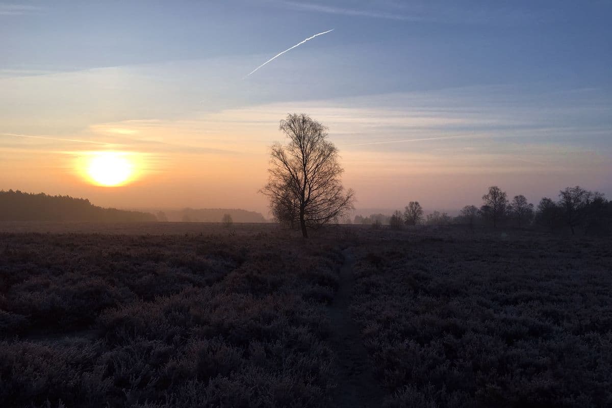 Wietzer Berg bei Müden (Örtze)