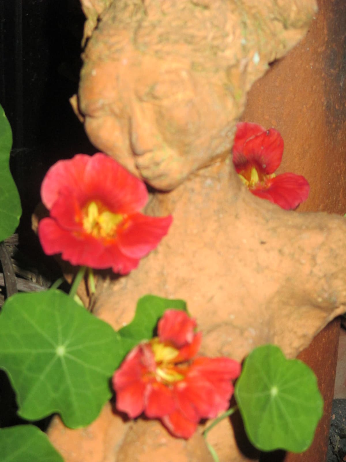 Atelier am Markt - Kunst & Cafe