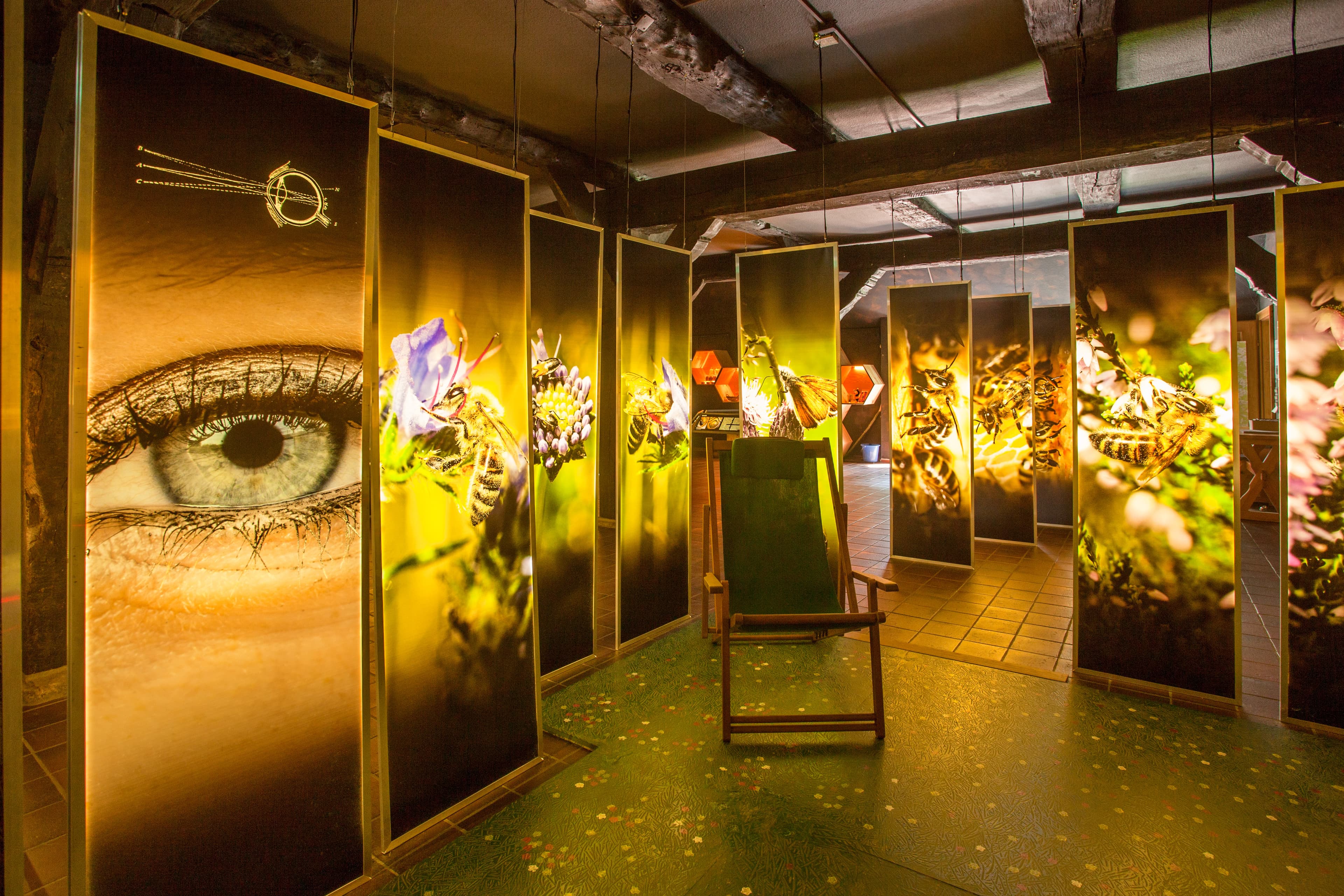 bienenwelten im naturinformationshaus niederhaverbeck bispingen