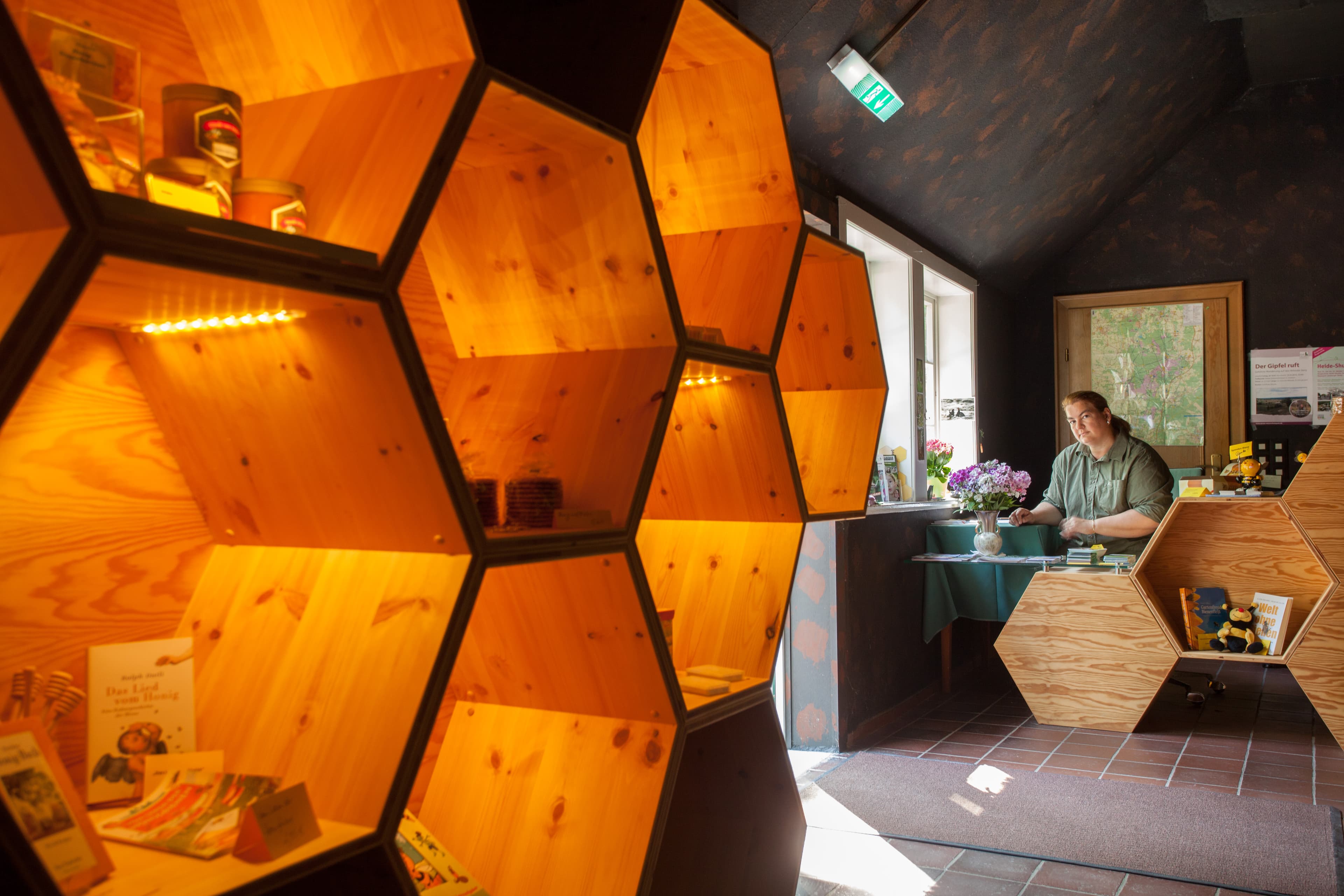 Ausstellung im naturinformationshaus niederhaverbeck bispingen