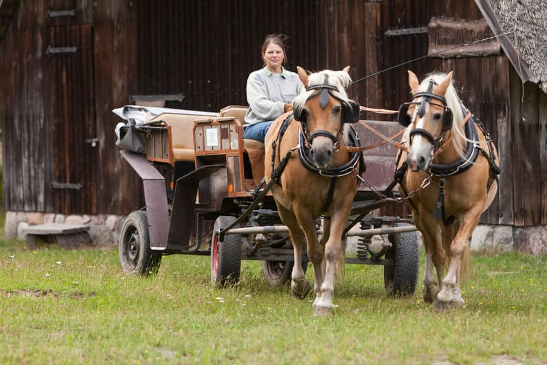 Travel with Horses, Asendorf, Lüneburger Heide