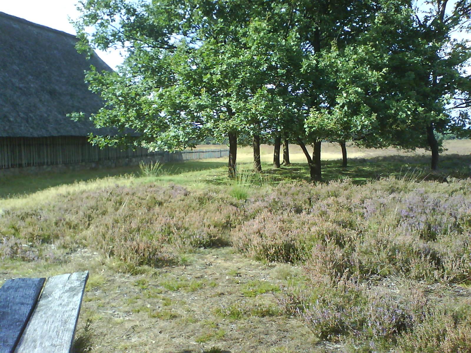 Pausenplatz am Schafstall in der Heide