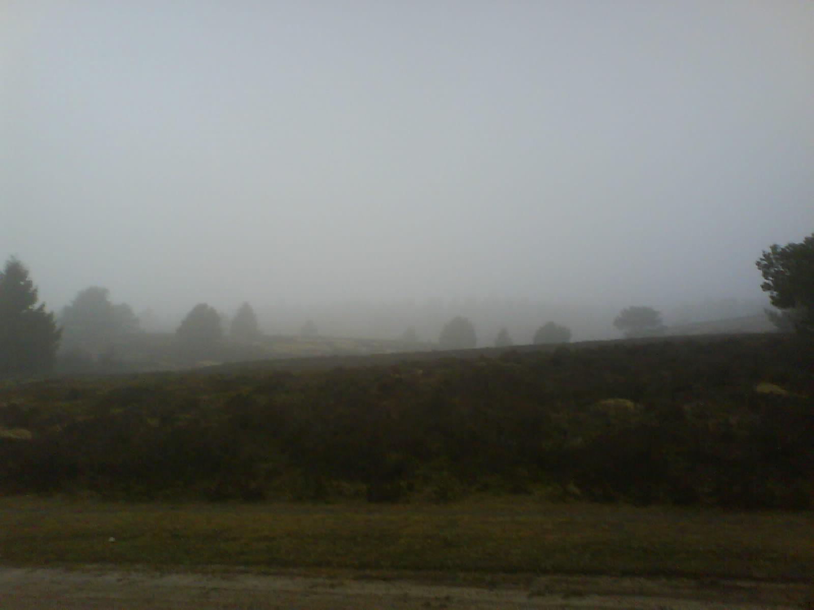 Mystisch - Herbst in der Heide - Töps im Nebel