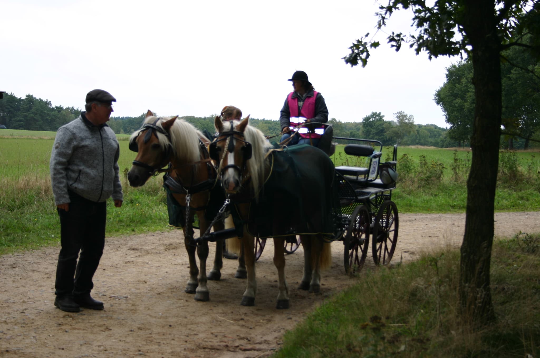 Fahrsport ist wie ein Virus - wer ihn einmal hat, kommt nicht wieder davon los - Schnupperfahren für Einsteiger oder eine begleitete Trainingseinheit für Fahrer mit Fahrpass/Fahrabzeichen bieten Erlebnisurlaub und die Möglichkeit früher einmal gelerntes wieder hervorzuholen