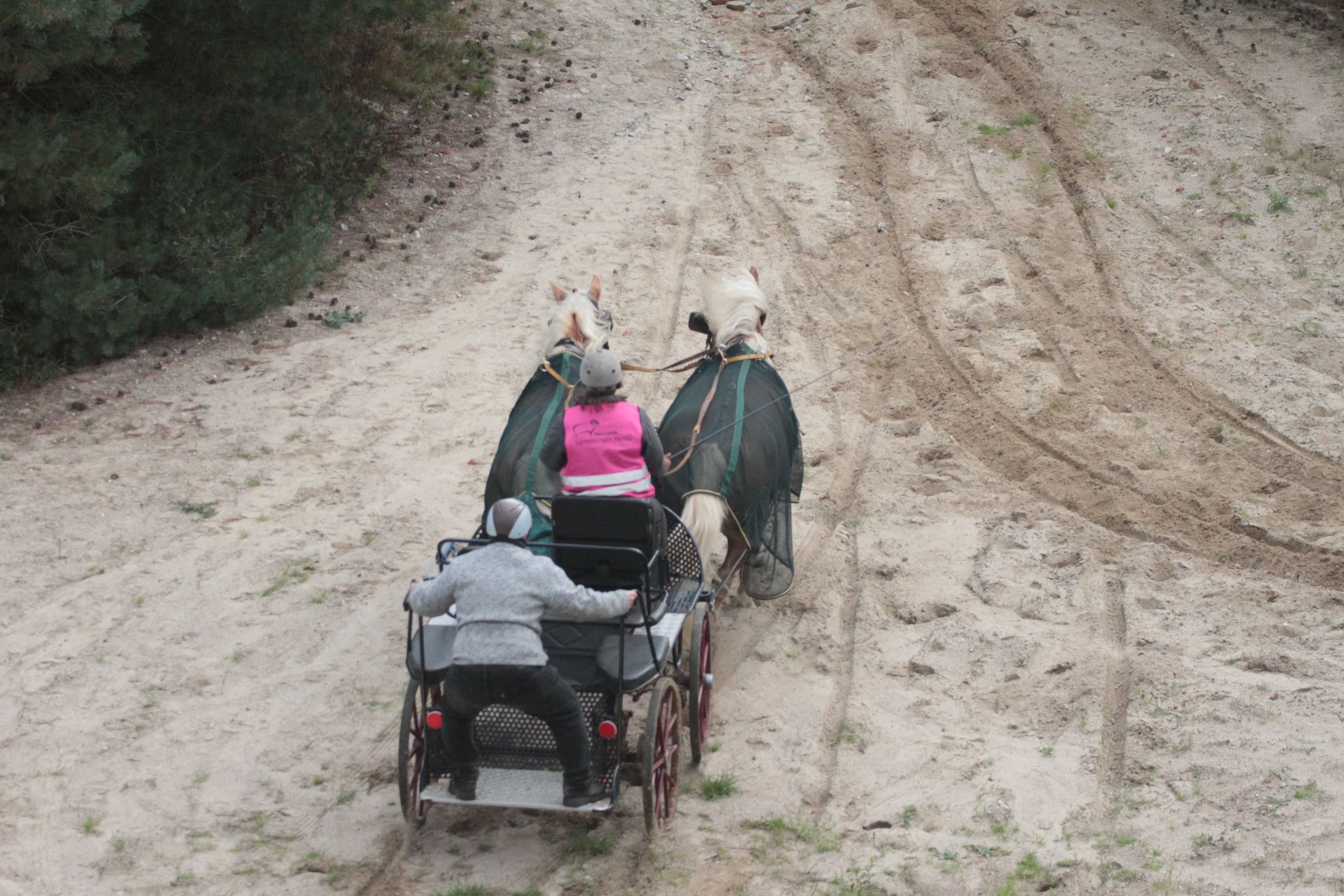 mit weniger Gewicht, dafür mit mehr Geschwindigkeit - hier geht es rasant den Berg hoch