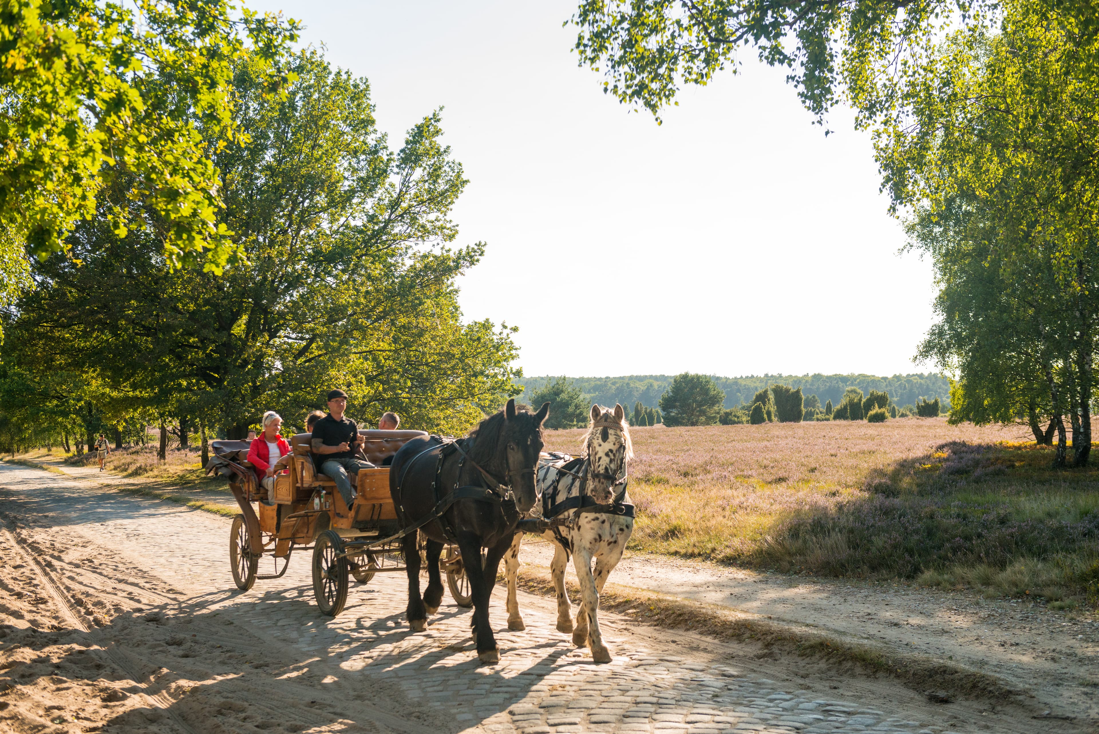 Vis a Vis in der Heide