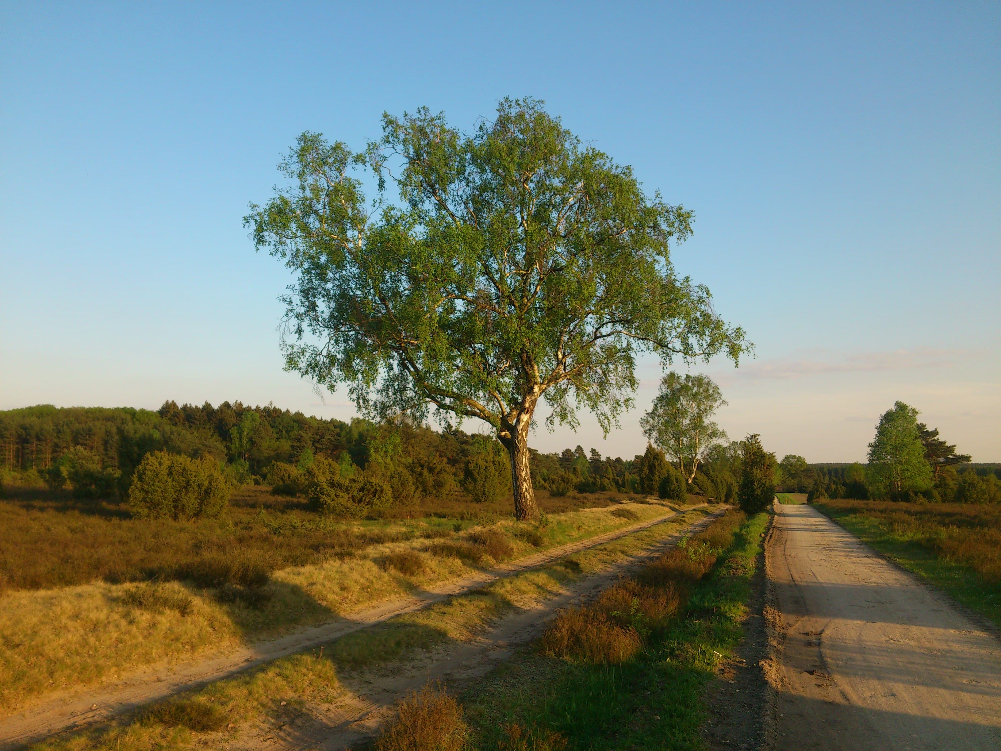 Faßberg: Gasthaus Waldschänke