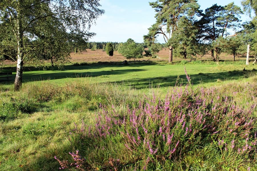 Hotel-Restaurant Fuchs