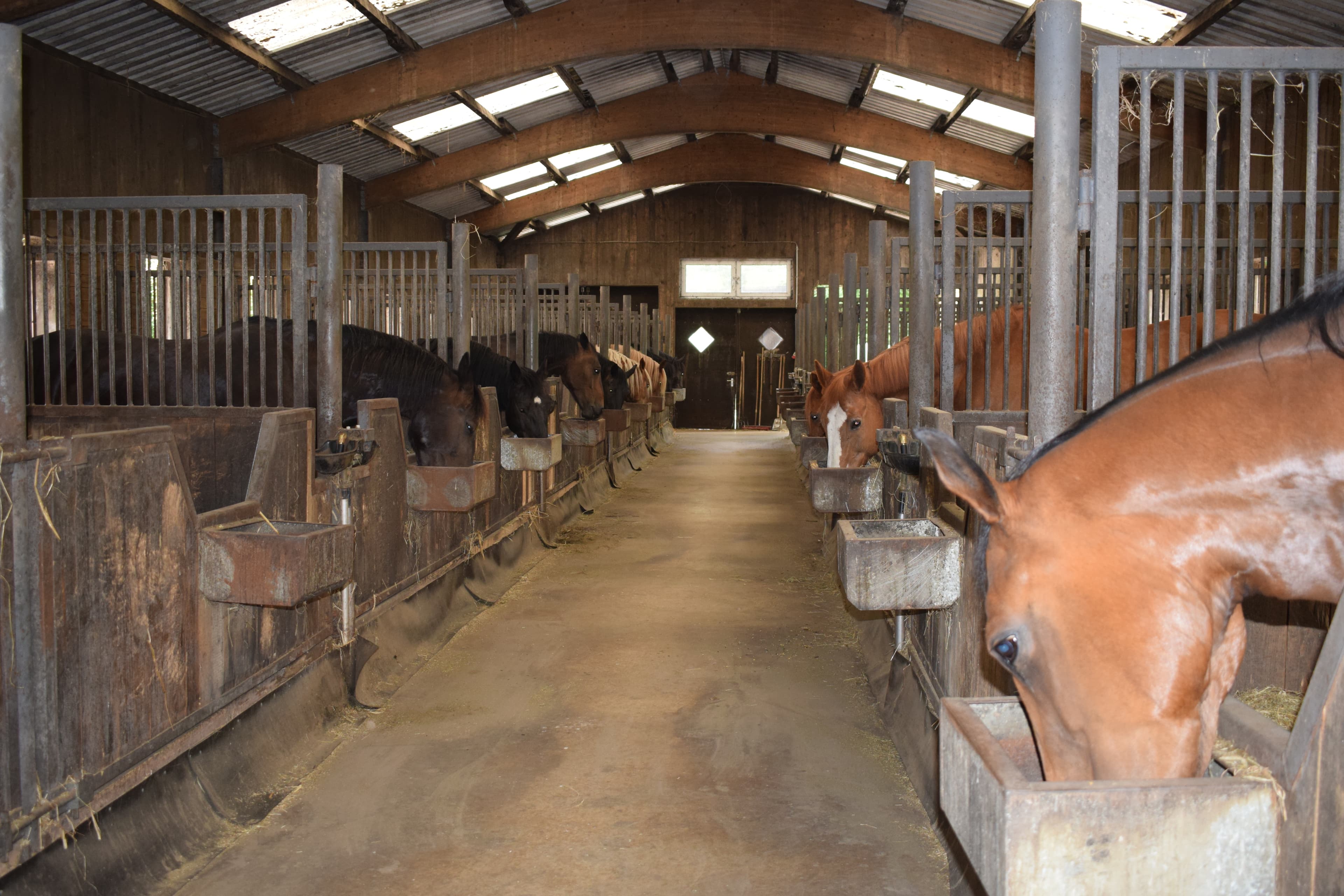 Stall der Ferienwohnung Garbers-Hof in Undeloh