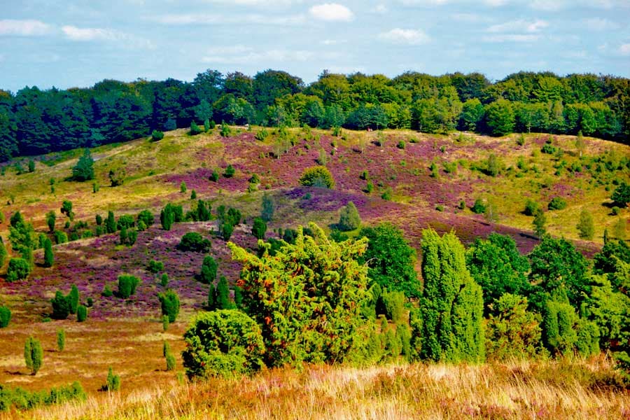 pension bispingen ausflug zum totengrund