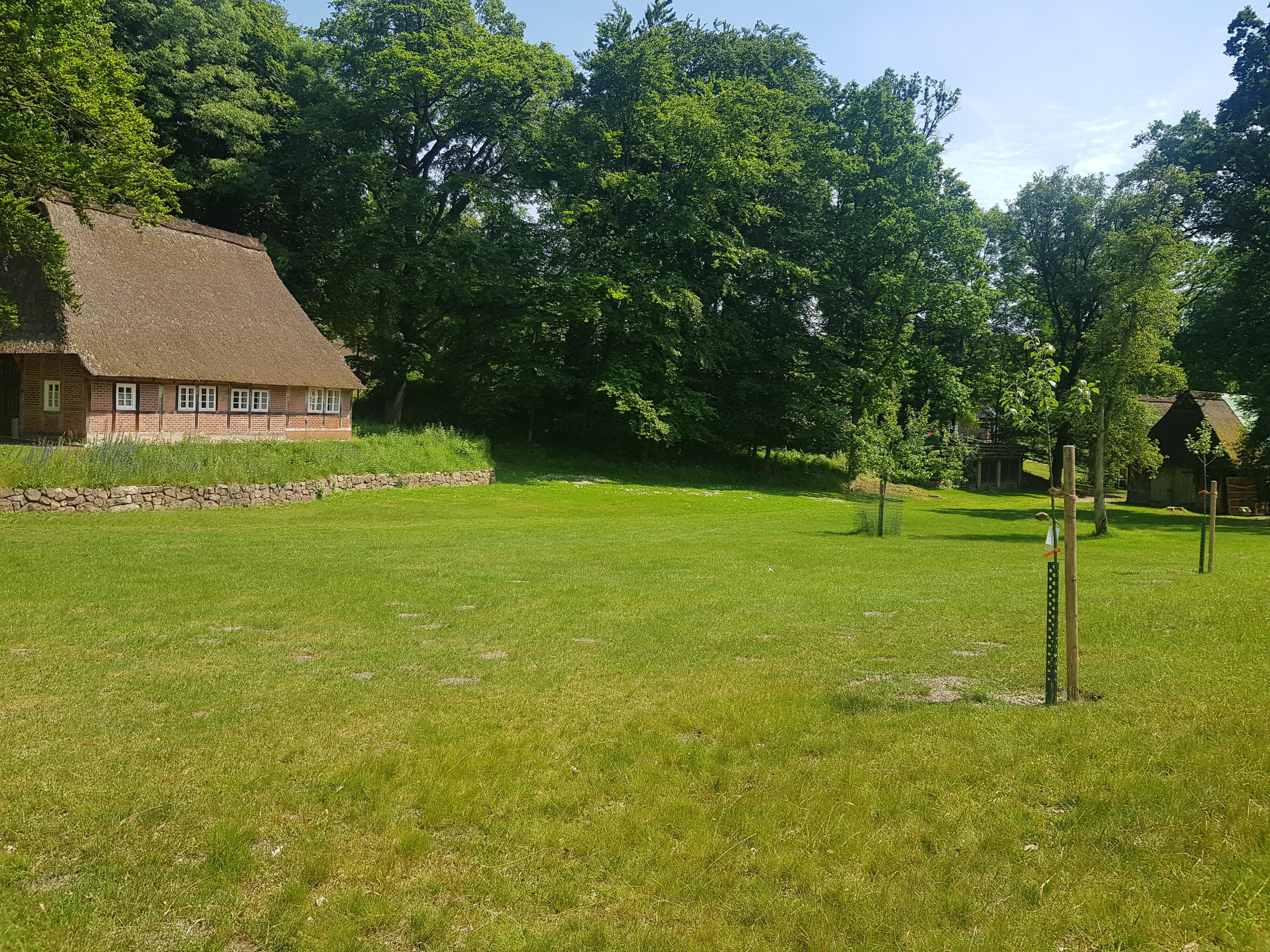 Ausblick auf die Streuobstwiese Naturotel Landhaus Haverbeckhof