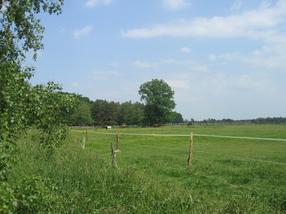 Hotel Misselhorner Hof