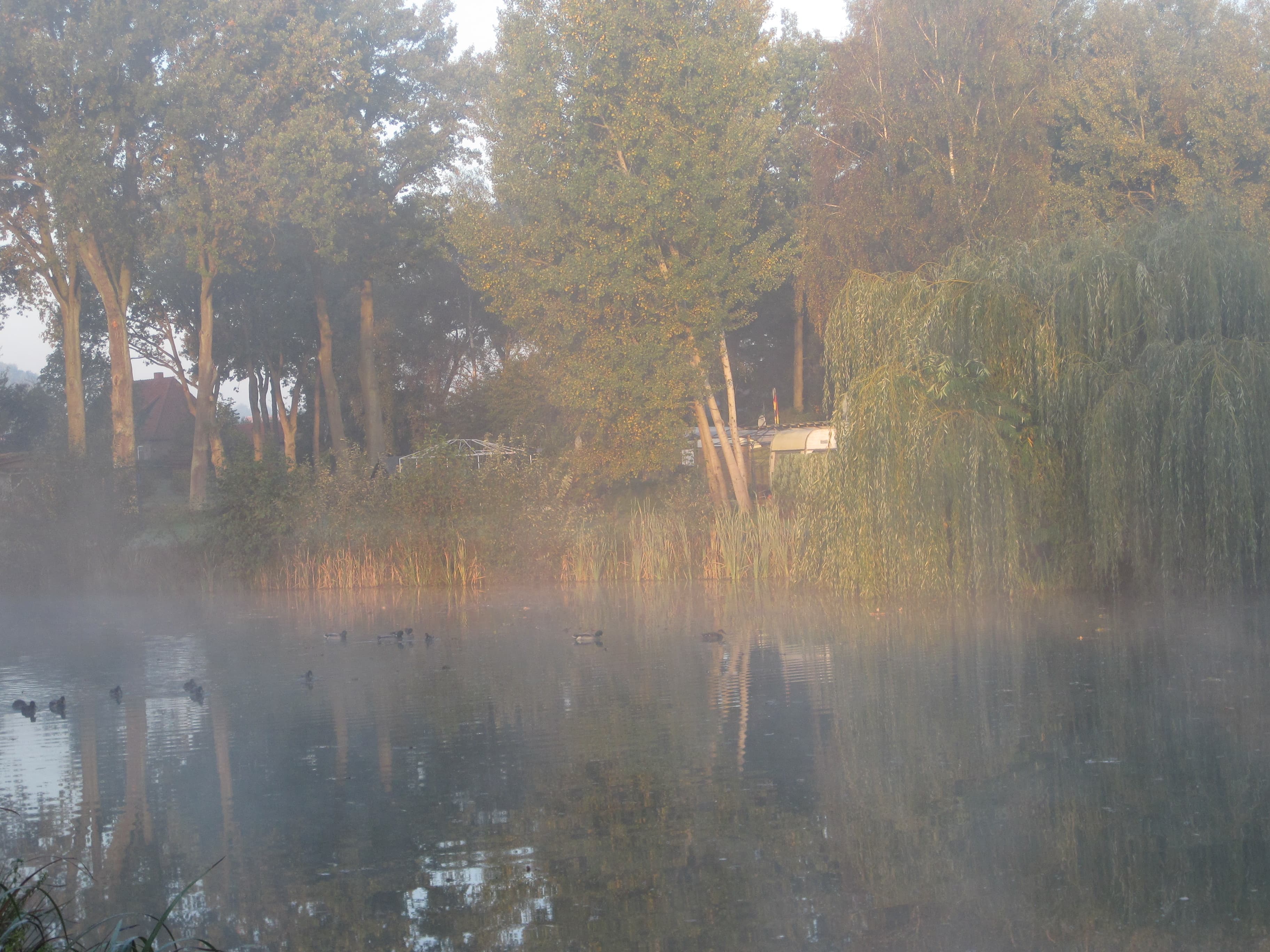 Campingplatz Bruchsee