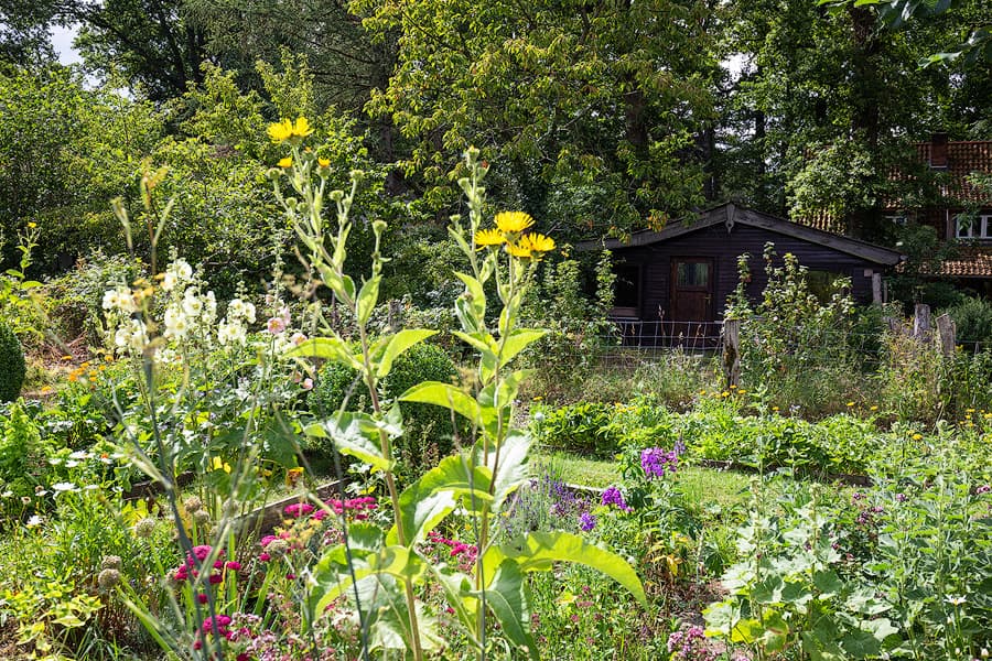 Garten Ferienhaus Jagdhütte zum Heidebach Müden Örtze