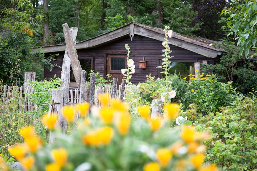 Ferienhaus Jagdhütte zum Heidebach Müden Örtze