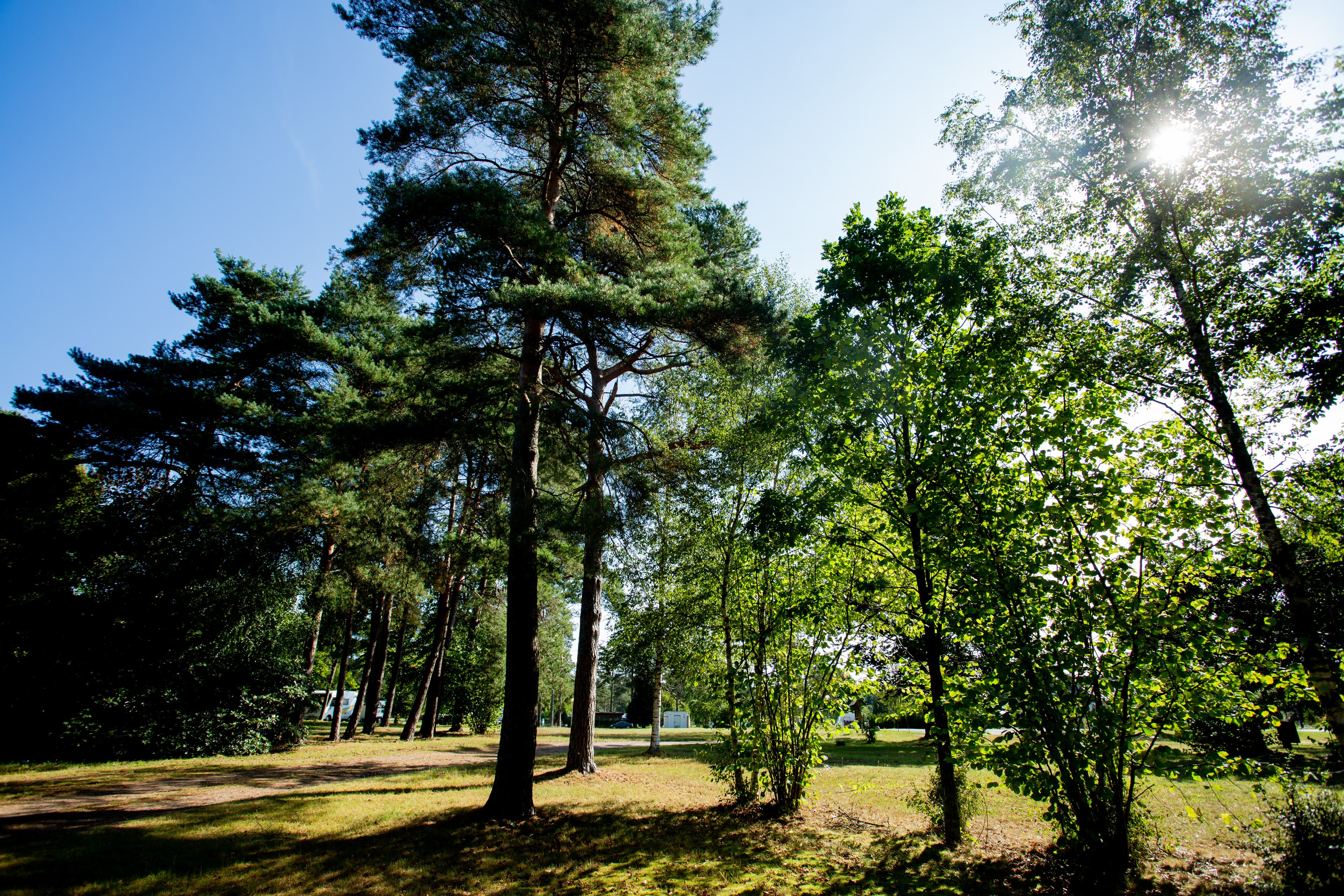 Natur pur zwischen Heide, Wäldern und See beim Naturcamping Lüneburger Heide in Soltau