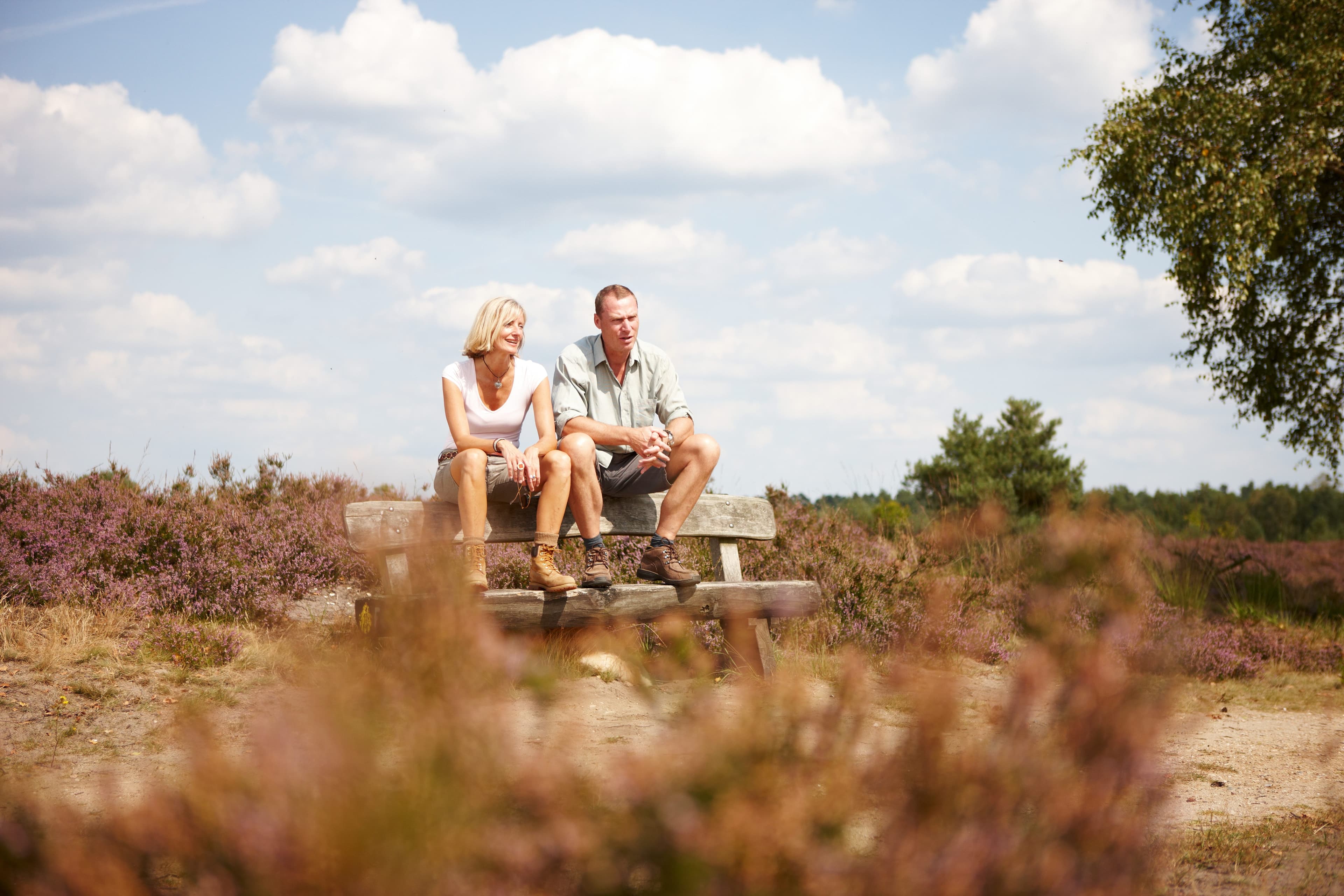 Wanderweg Traumschleife mit den Höhepunkten der Heide Freudenthalweg