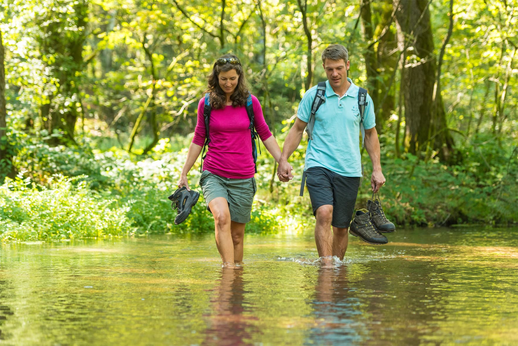 Heidschnuckenweg, schönster Wanderweg Deutschlands