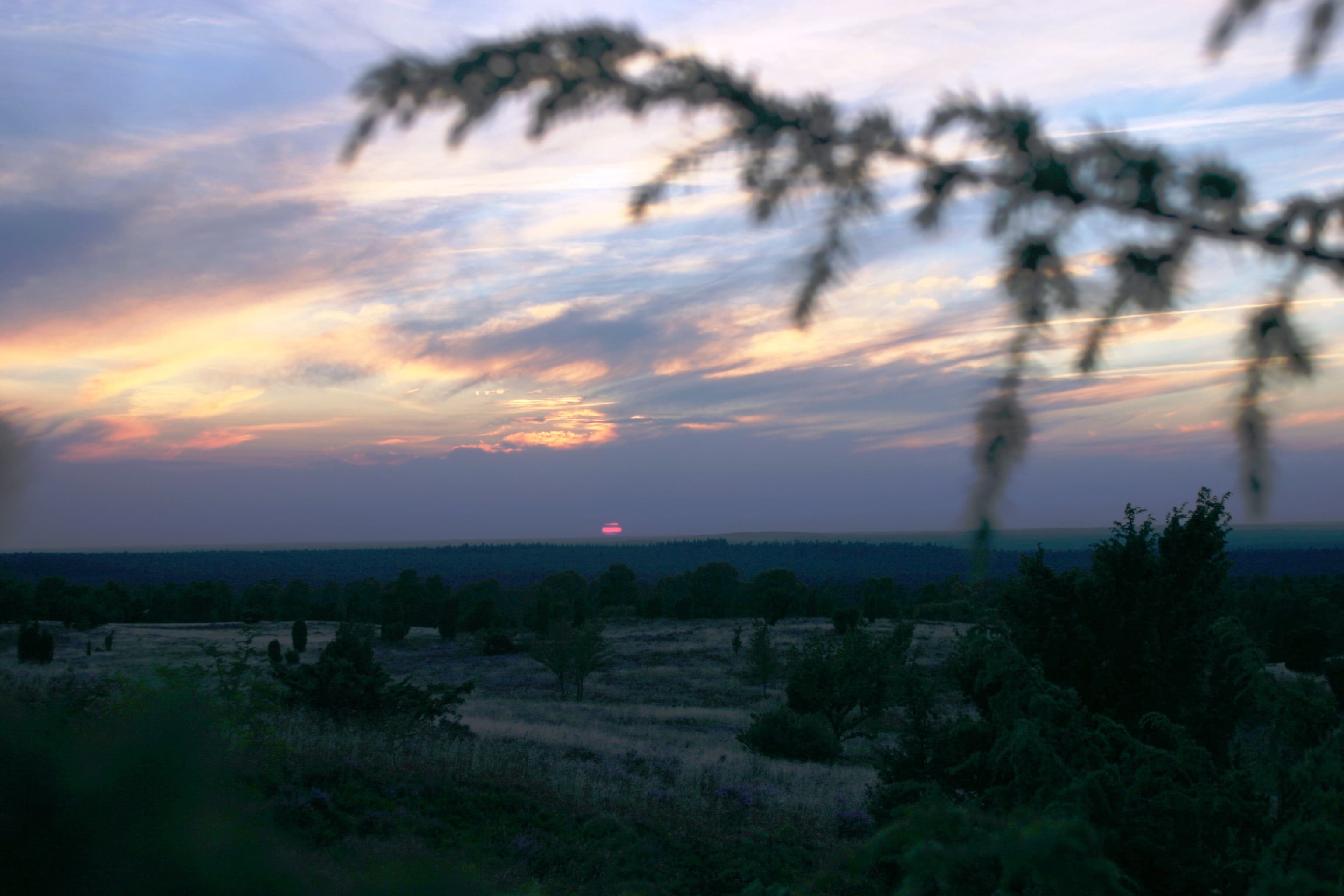 Den sonnenuntergang auf dem wilseder berg erleben