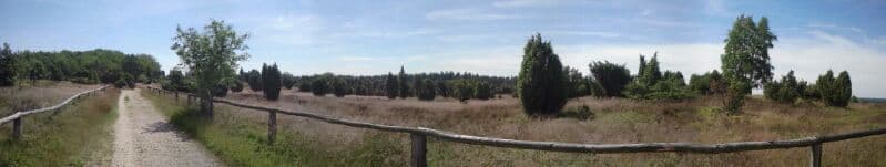 Frühlingswandern von Niederhaverbeck nach Wilsede Panorama