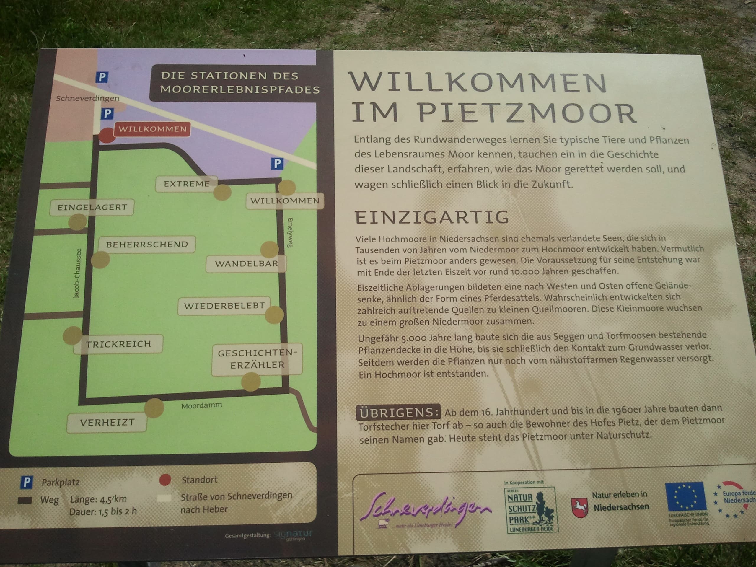 Schneverdingen Tafel