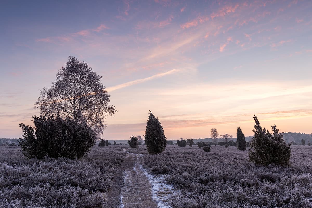 Teufelsheide bei Schmarbeck