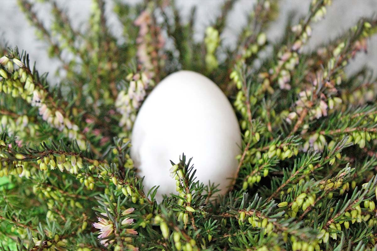 Ostern Urlaub in Deutschland