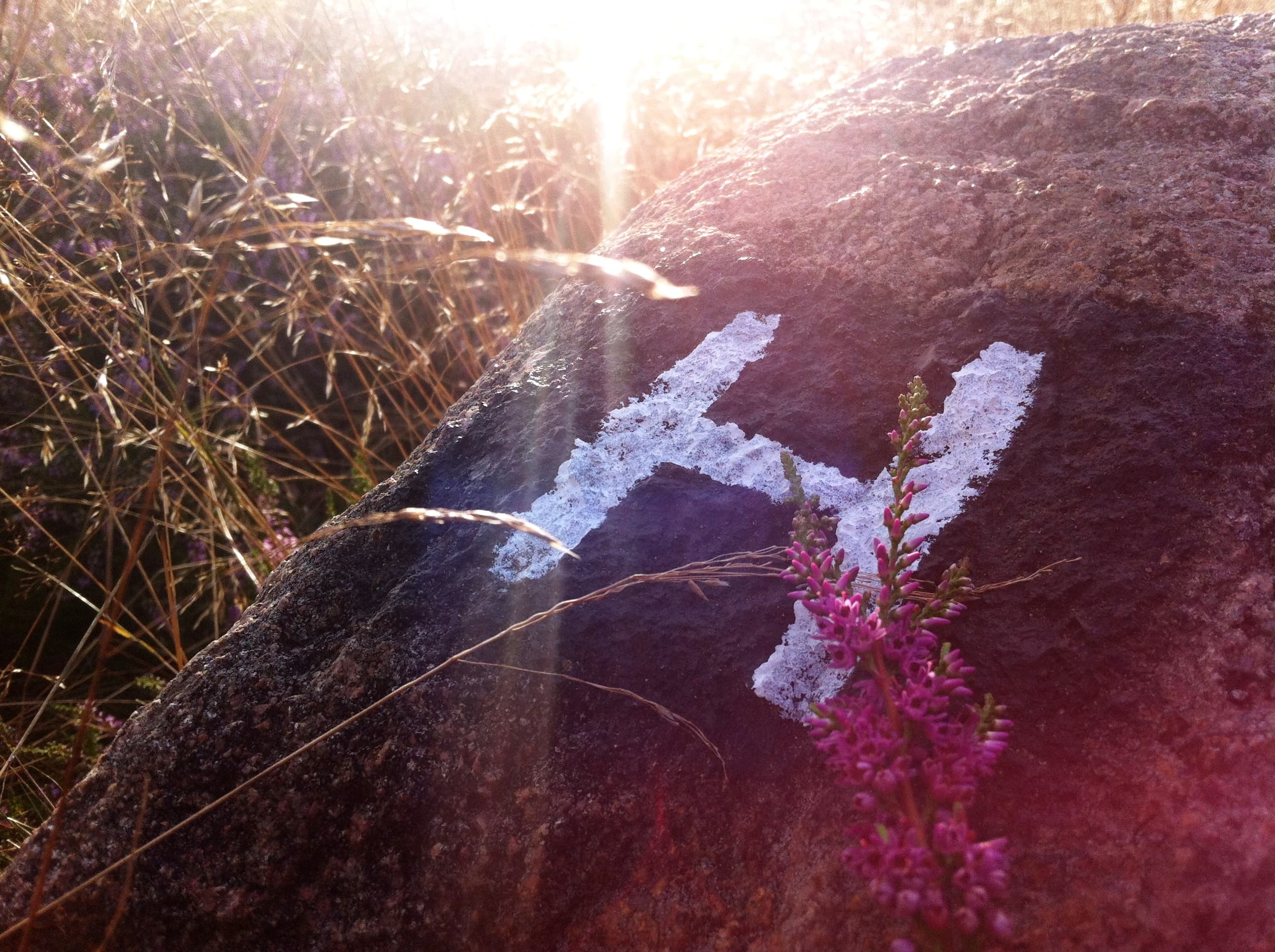 Heidschnuckenweg Symbol Beschilderung Wanderweg Wandern Lüneburger Heide