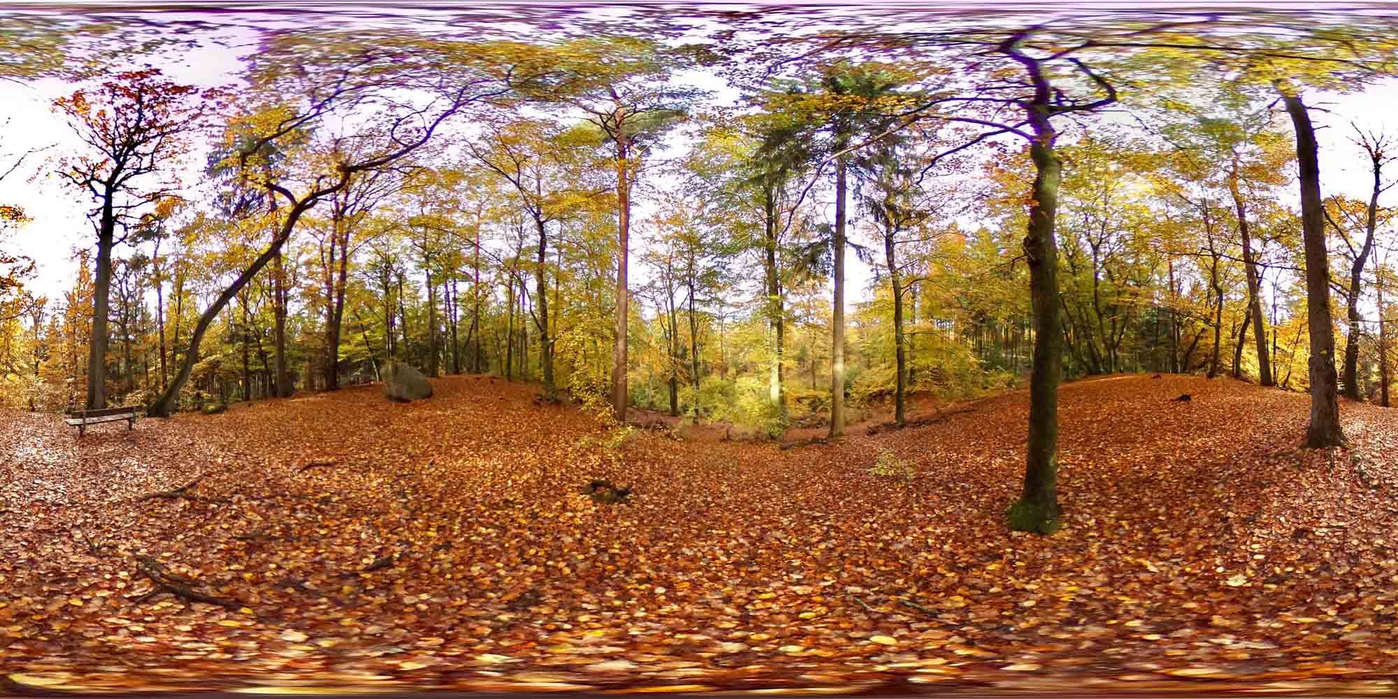 360-Grad-Karlstein-Heidschnuckenweg