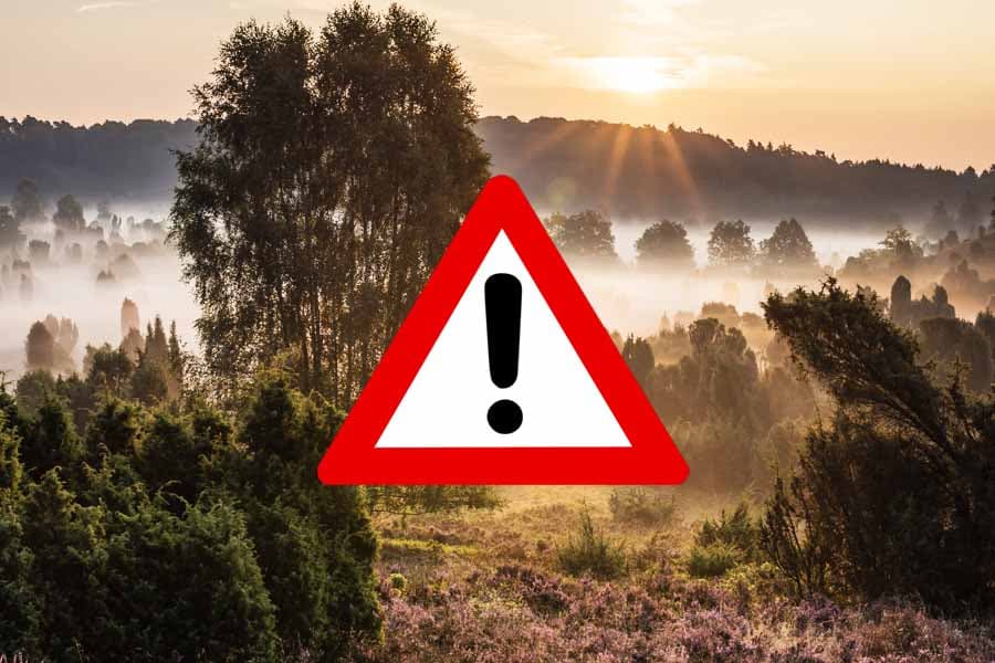 Aktuelle Informationen aus der Lüneburger Heide