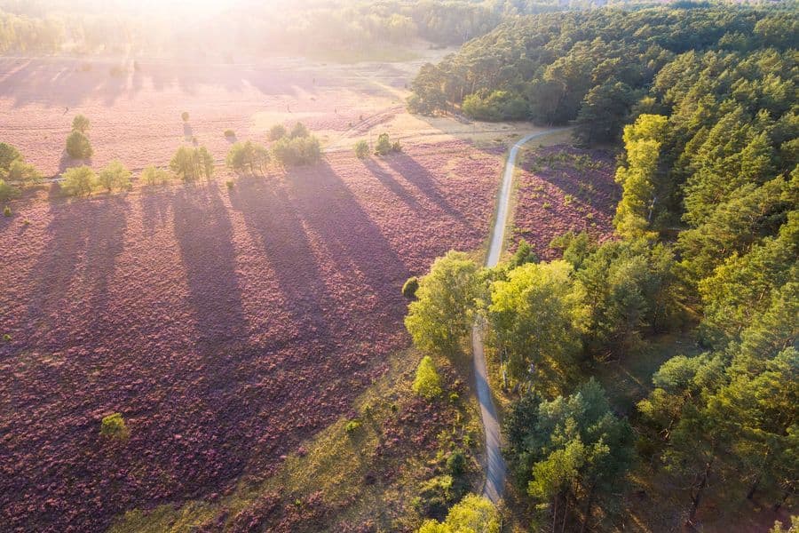 Luftaufnahme von der Oberoher HeideAerial view of the Oberoher HeideLuftfoto af Oberoher HeideLuchtfoto van de Oberoher Heide