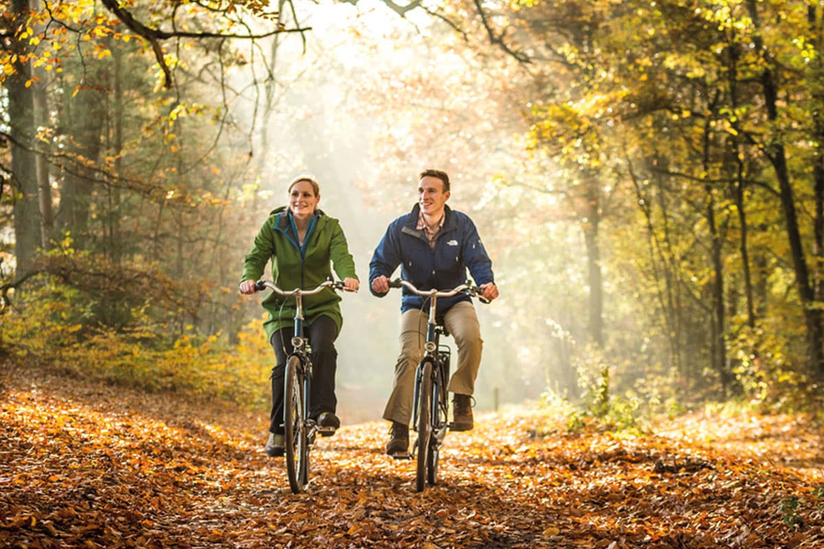 lüneburger heide herbst radtour