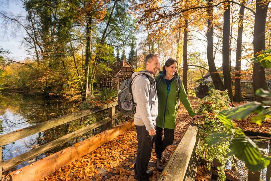 Herbst Wandern Lüneburger Heide