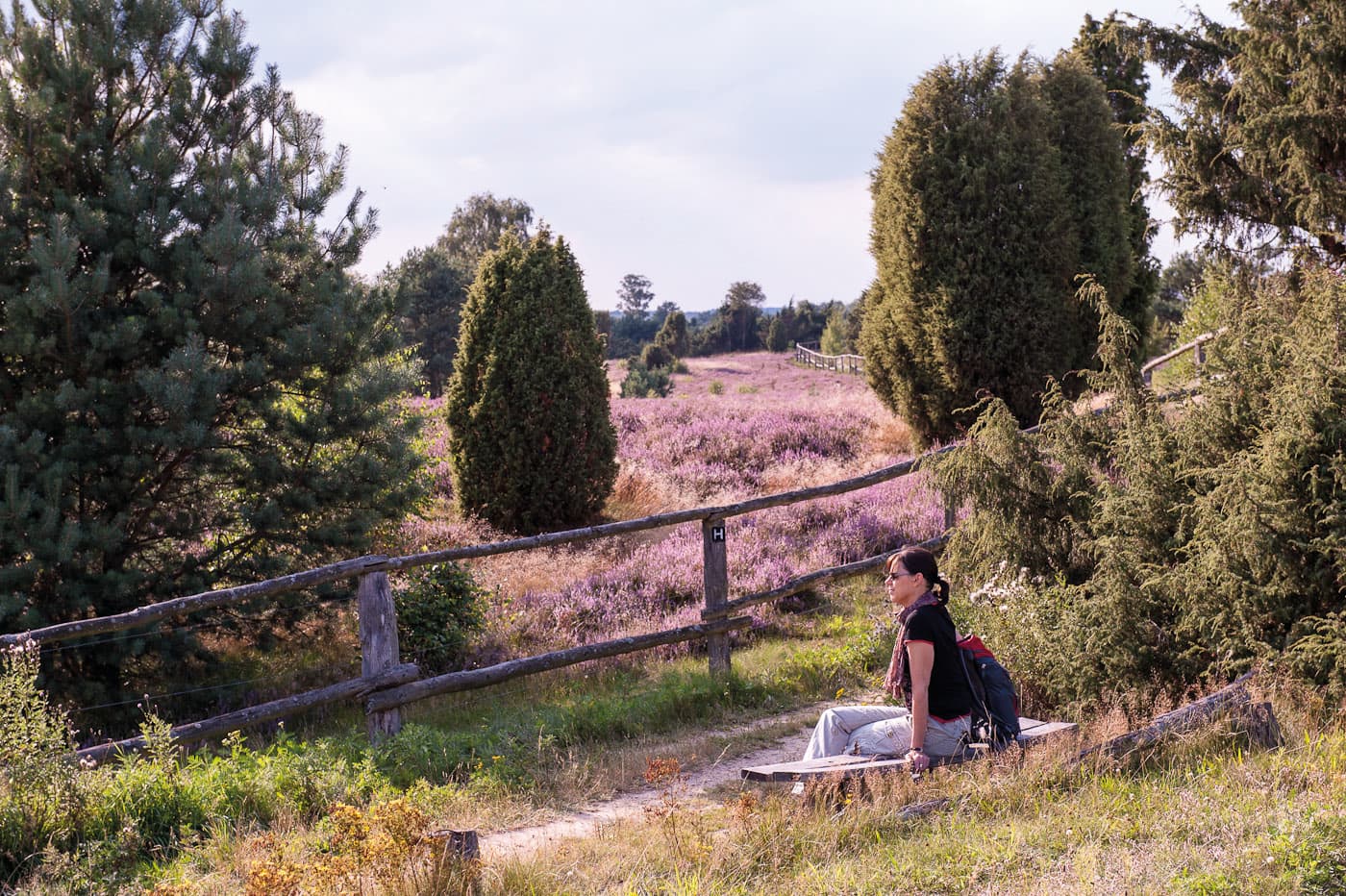 Weg auf den wilseder berg