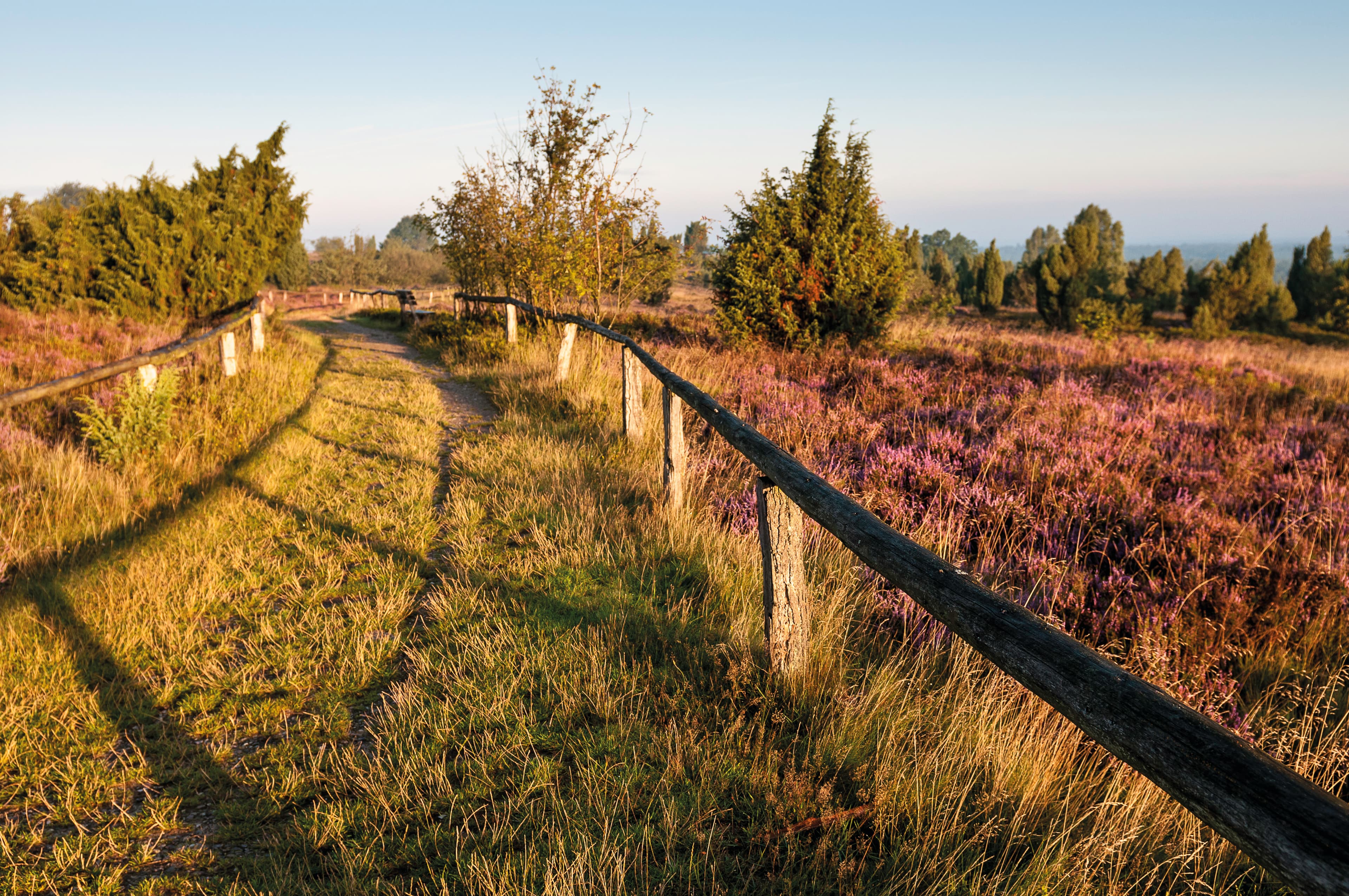 Der Wanderweg Heidschnuckenweg am Totengrund