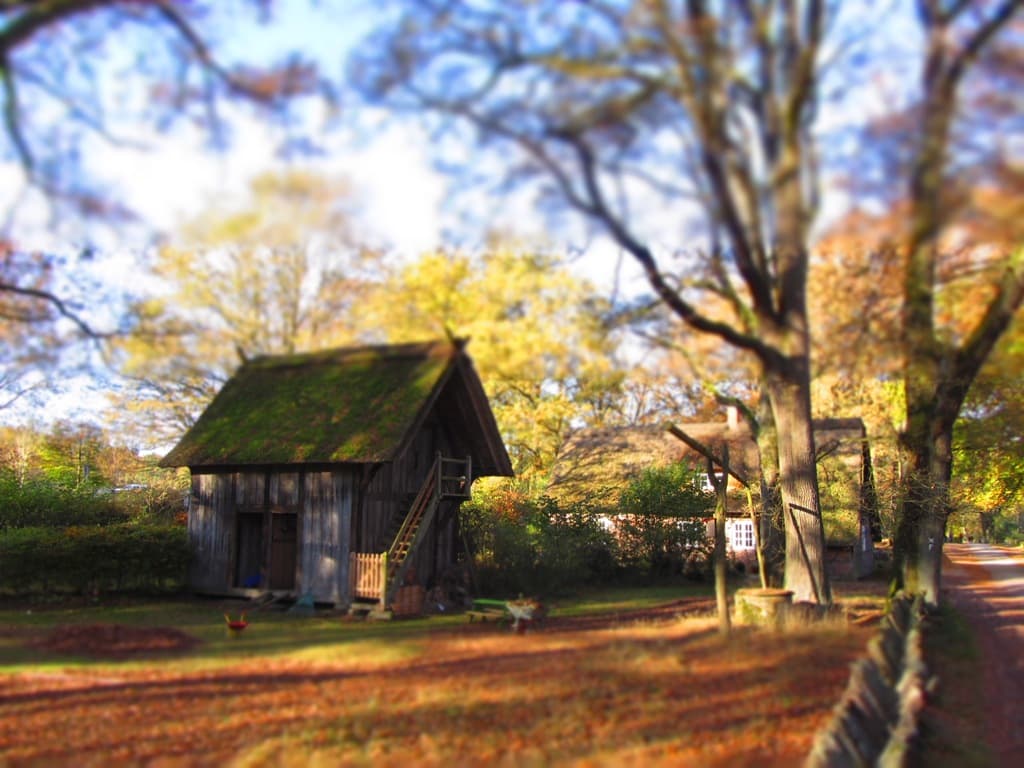 Speicher im Heidedorf Wilsede