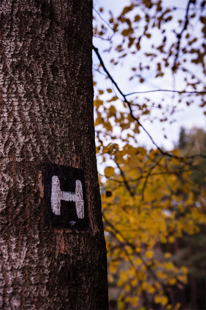 Markierung Heidschnuckenweg Etappe 3 Wanderweg Wegweiser
