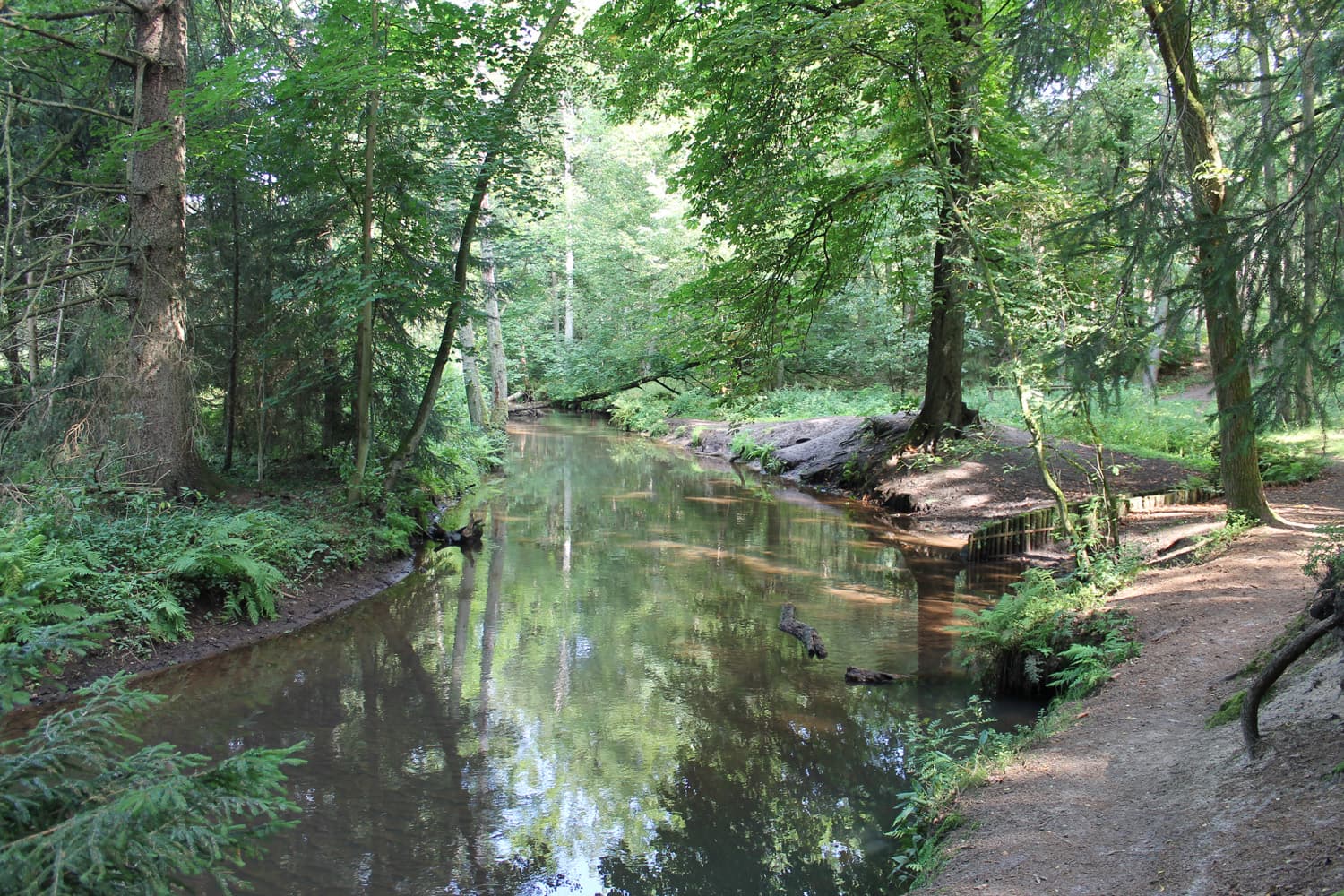 Böhmewald Soltau am Wanderweg Heidschnuckenweg