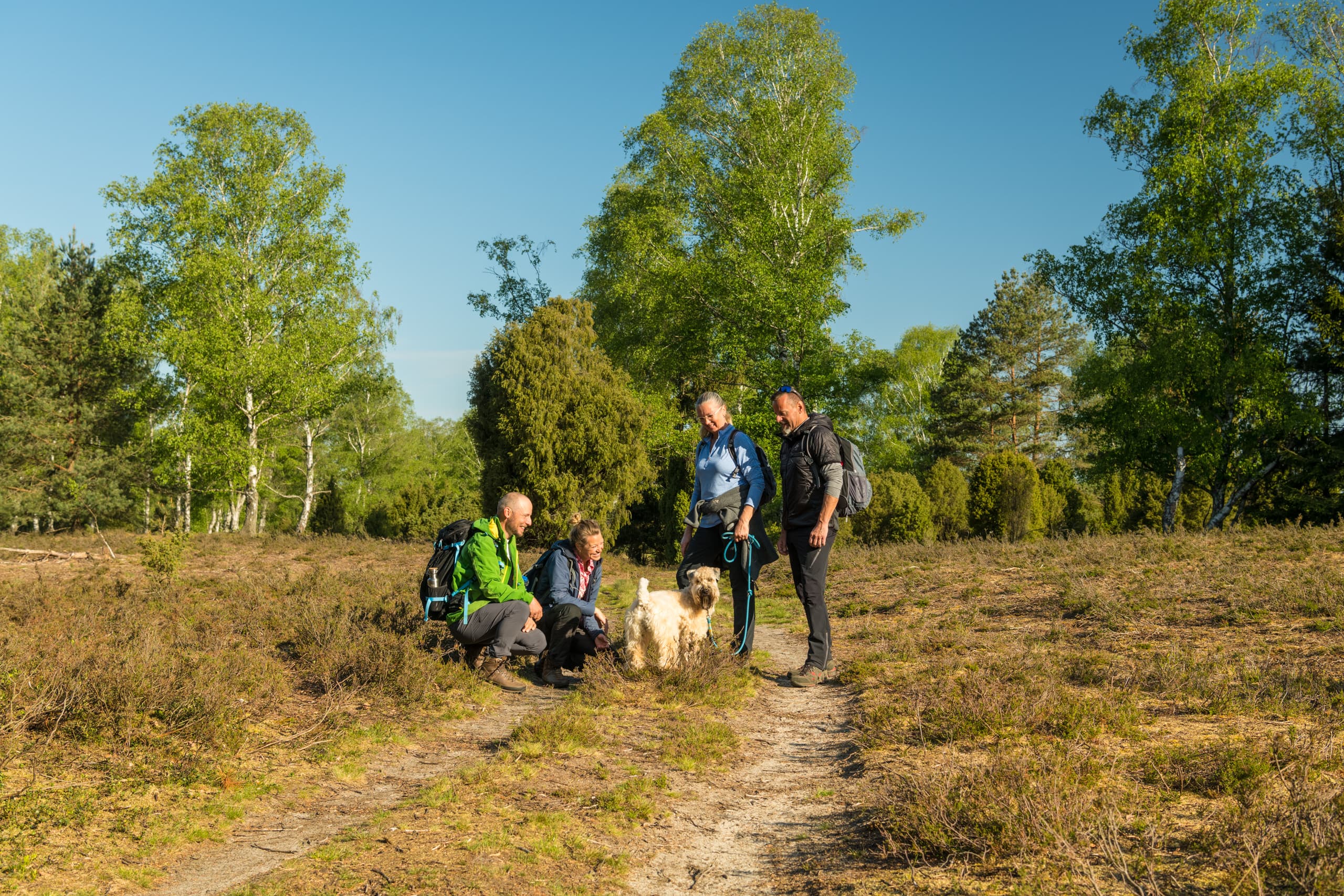 In der Oberoher Heide bei Müden (Örtze) Wandern Hund Heidschnuckenweg