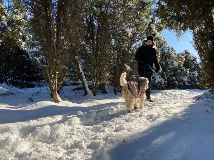 Wacholderwald Schmarbeck Lüneburger Heide im Schnee Heidschnuckenweg