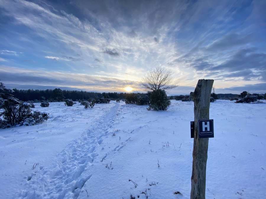 Sonnenuntergang im Wacholderwald Schmarbeck Südheide im Schnee Winterwonderland