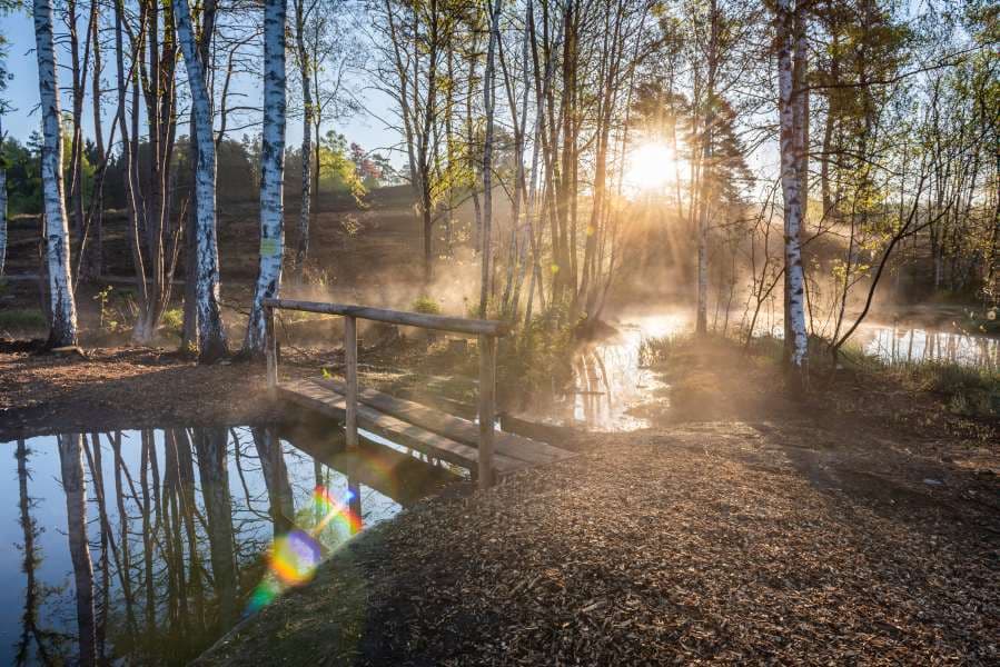Herrliche Landschaft im Frühling im Büsenbachtal in der Lüneburger Heide