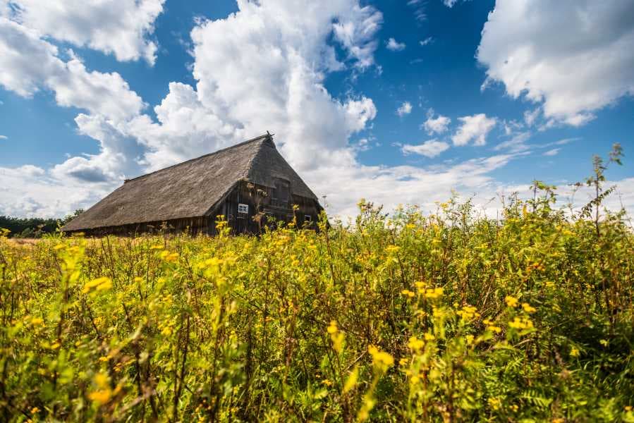 Schafstall Weseler Heide Heideschleife RundwanderwegSheepfold Weseler Heide Heideschleife circular hiking trailFårefold Weseler Heide Heideschleife cirkulær vandrestiSchaapskooi Weseler Heide Heideschleife rondwandeling