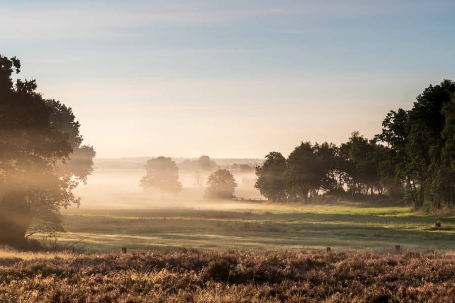 Obere Radenbachbrücke bei Sonnenaufgang Heideschleife RundwanderwegUpper Radenbach bridge at sunrise Heideschleife circular hiking trailØvre Radenbach-bro ved solopgang Heideschleife cirkulær vandrestiBovenste Radenbachbrug bij zonsopgang Heideschleife rondwandelpad