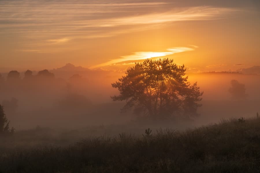 Sonnenaufgang Undeloh Heideschleife Radenbachtal Sunrise Undeloh Heideschleife RadenbachtalSolopgang Undeloh Heideschleife RadenbachtalZonsopgang Undeloh Heideschleife Radenbachtal