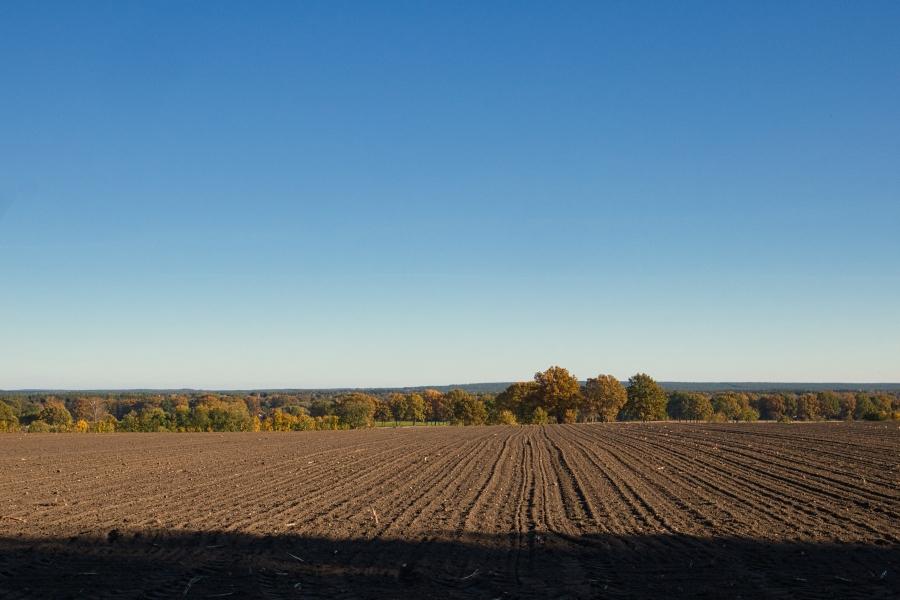 Blick vom Eitzberg über abgeerntete Felder zum Hausselberg