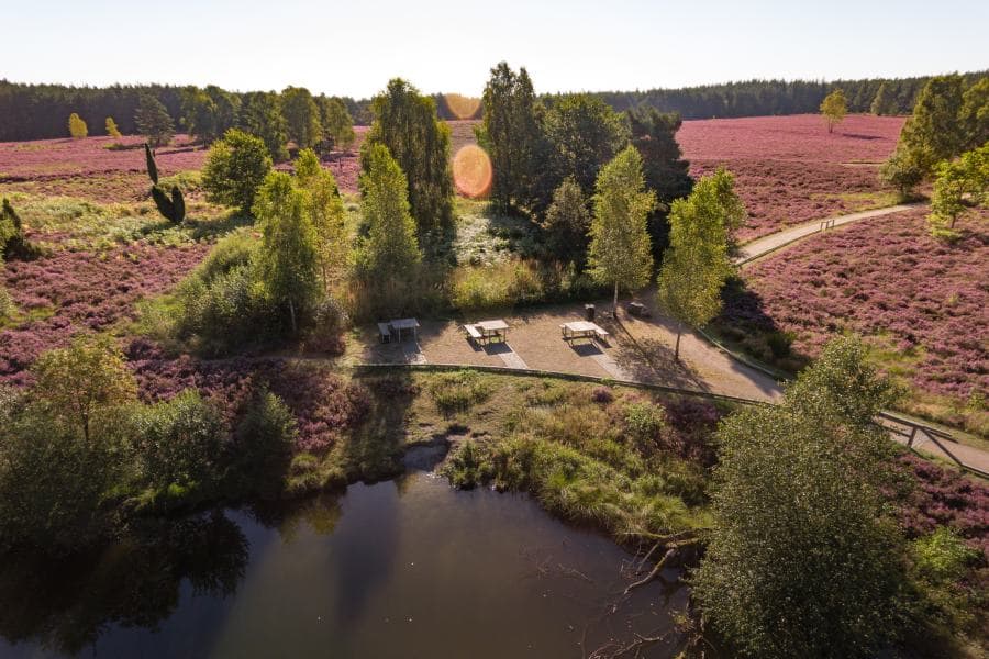 Heideschleife Angelbecksteich Hermannsburg barrierefreier Picknickplatz RundwegHeideschleife Angelbecksteich Hermannsburg barrier-free picnic area Circular trailHeideschleife Angelbecksteich Hermannsburg barrierefri picnicplads RundstrækningHeideschleife Angelbecksteich Hermannsburg barrièrevrije picknickplaats Rondweg